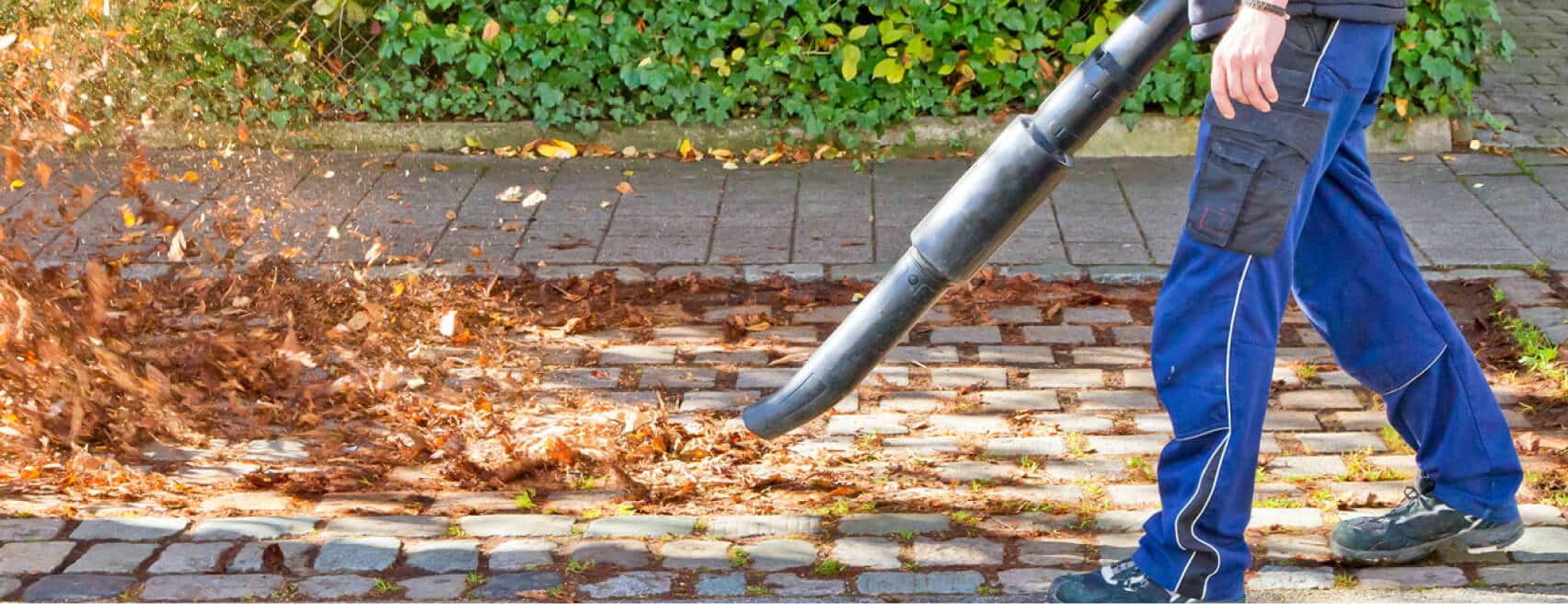 Garden Clean Ups